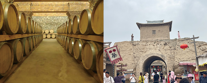 志輝源石酒莊，寧夏優質釀酒基地；鎮北堡西部影城，影視文化勝地。