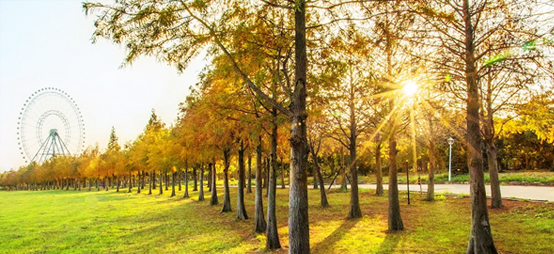 台灣中南部春意樂活4天之旅