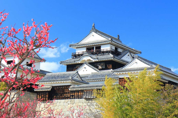 伊予松山城